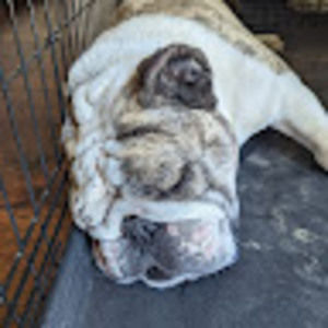 Meet your Posher, Mariah